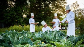 Farm to Table de Luxe