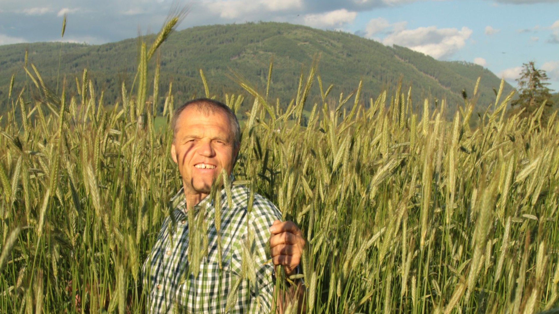 Peter Löcker im Tauernroggenfeld. | © Biohof Sauschneider Peter Löcker im Tauernroggenfeld.