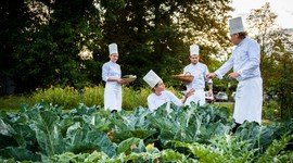 Farm to Table de Luxe