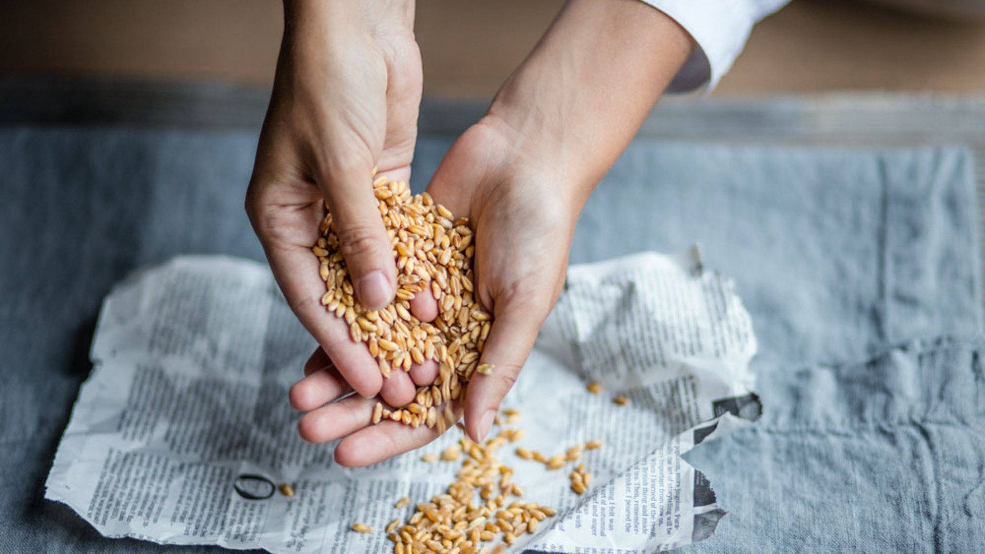 Castello del Sole – Farm to Table de Luxe