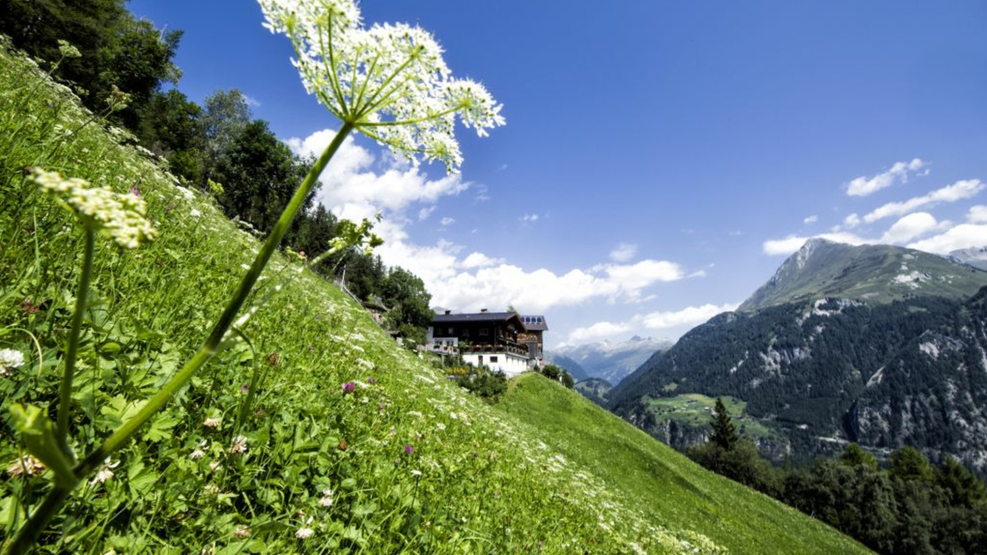 Idylle pur am Strumerhof in Osttirol